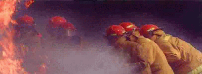 thurgoona training gif